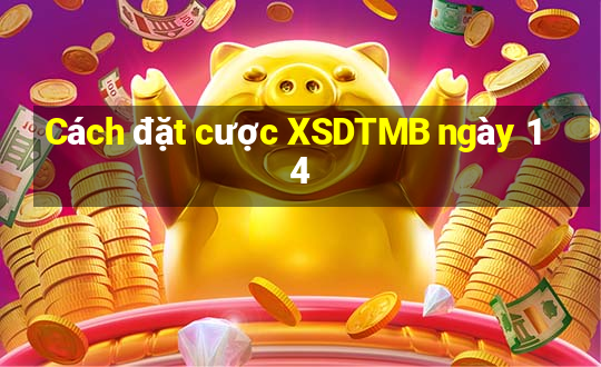 Cách đặt cược XSDTMB ngày 14