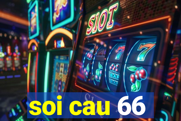 soi cau 66