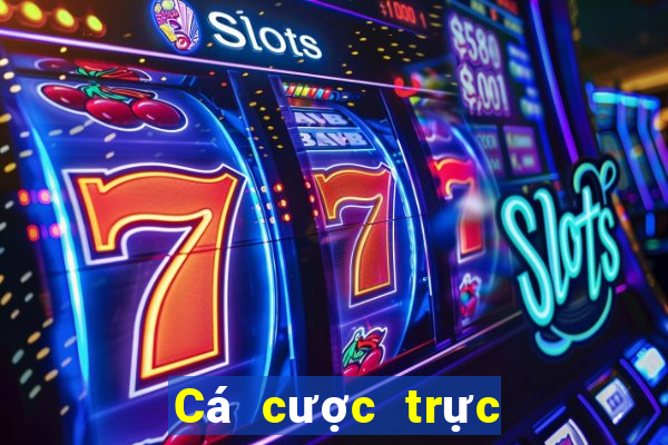 Cá cược trực tuyến wsmcasino