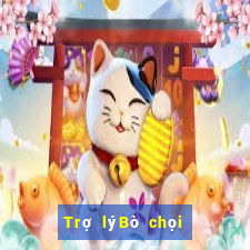 Trợ lýBò chọi ở Đại Lộc