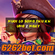 nuoi lo song thu khung 2 ngay