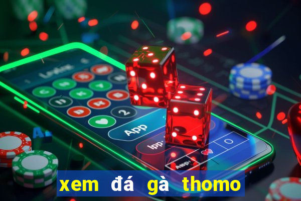 xem đá gà thomo trực tiếp