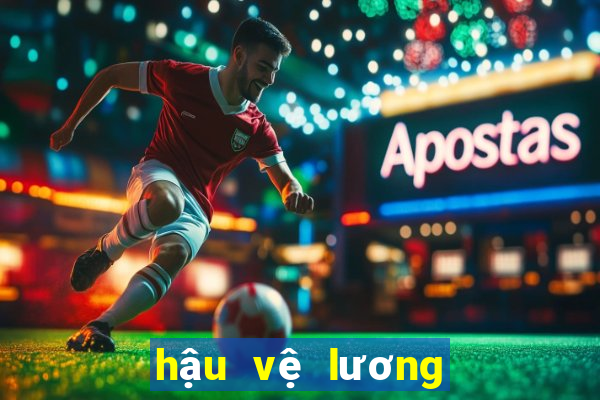 hậu vệ lương thấp fo4