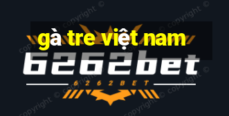 gà tre việt nam