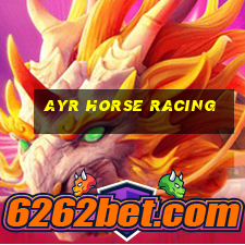 ayr horse racing