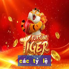 các tỷ lệ kèo trong bóng đá