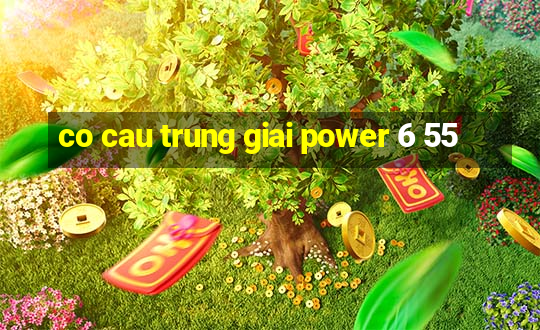 co cau trung giai power 6 55