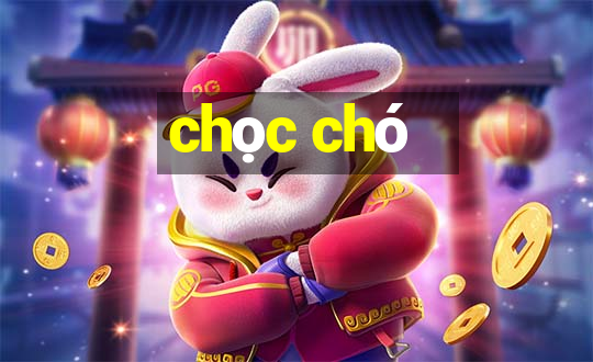 chọc chó