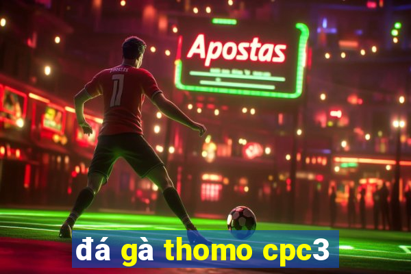 đá gà thomo cpc3