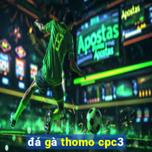 đá gà thomo cpc3