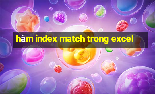 hàm index match trong excel