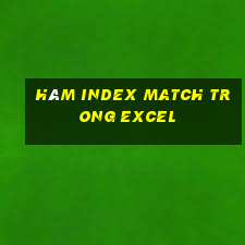 hàm index match trong excel