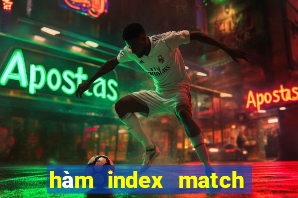 hàm index match trong excel