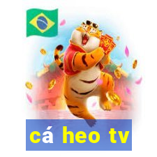 cá heo tv