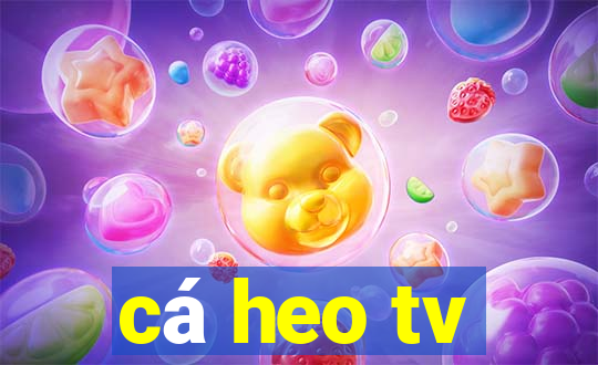 cá heo tv