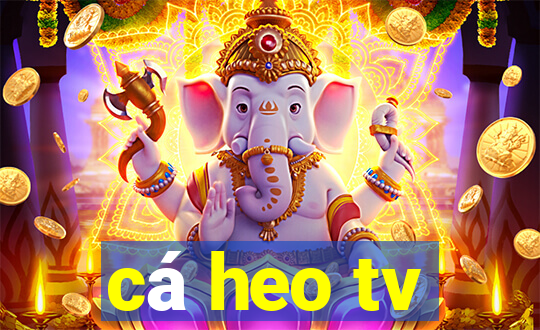 cá heo tv