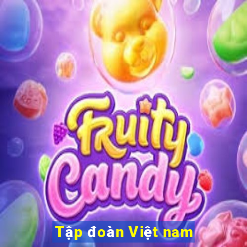 Tập đoàn Việt nam