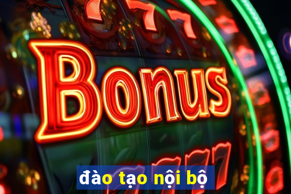 đào tạo nội bộ