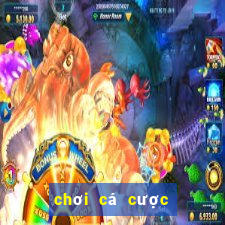 chơi cá cược thể thao casino