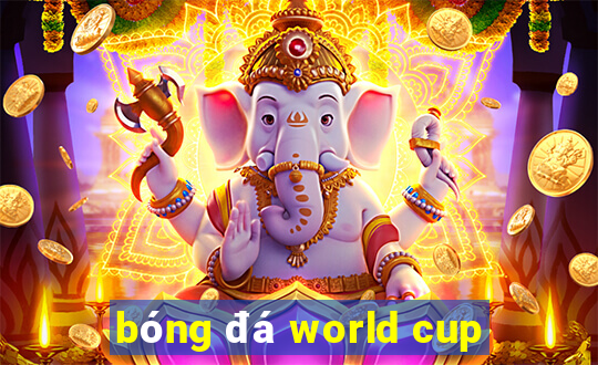 bóng đá world cup