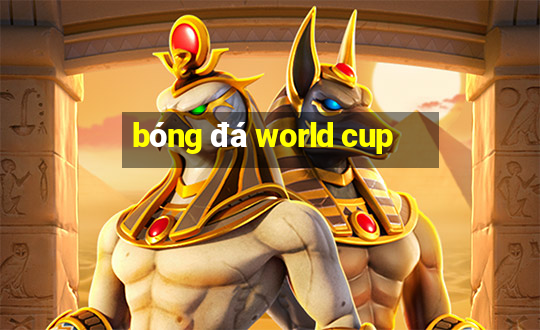 bóng đá world cup