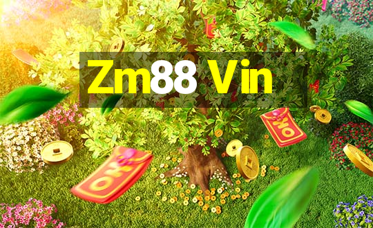 Zm88 Vin