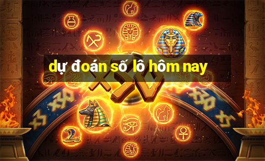 dự đoán số lô hôm nay