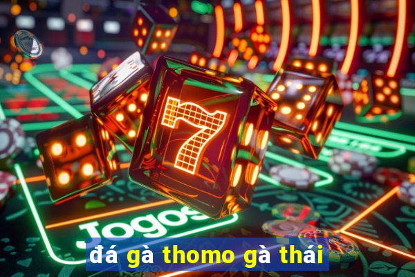 đá gà thomo gà thái