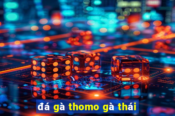 đá gà thomo gà thái