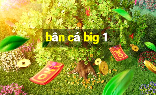 bắn cá big 1