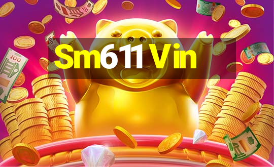 Sm611 Vin