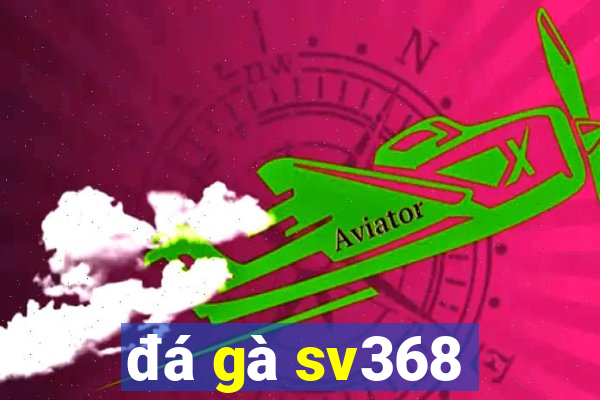 đá gà sv368