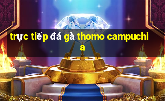 trực tiếp đá gà thomo campuchia