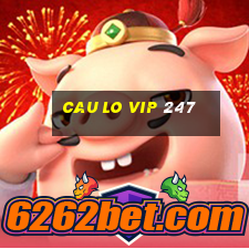 cau lo vip 247