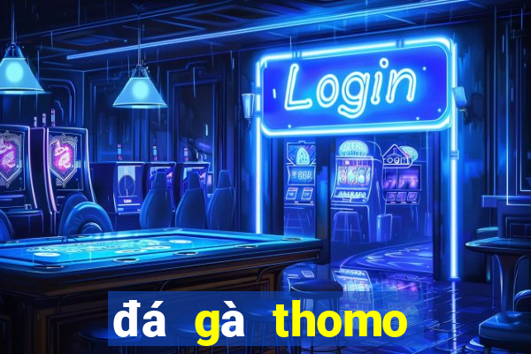 đá gà thomo trận 28 hôm qua