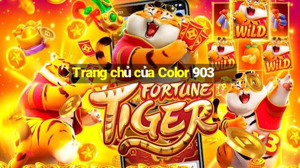 Trang chủ của Color 903