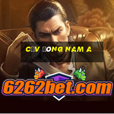 CĐV Đông Nam A