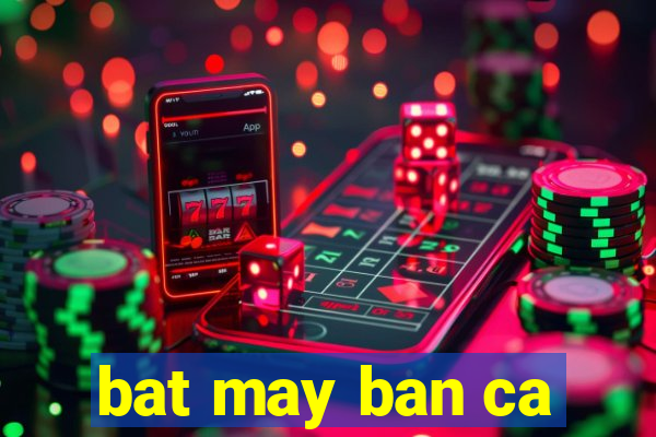 bat may ban ca