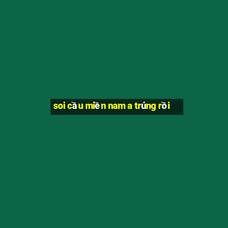 soi cầu miền nam a trúng rồi