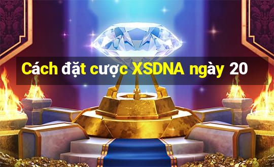 Cách đặt cược XSDNA ngày 20