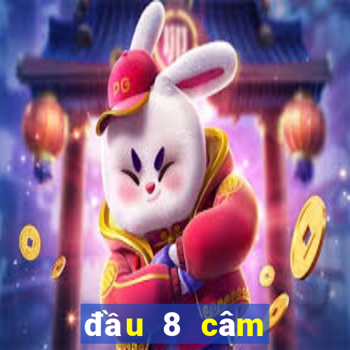 đầu 8 câm đánh lô gì