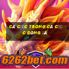 Cá cược trong cá cược bóng đá