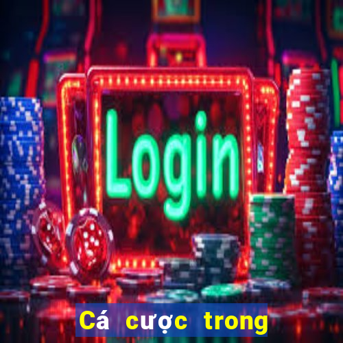 Cá cược trong cá cược bóng đá