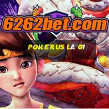 pokerus là gì