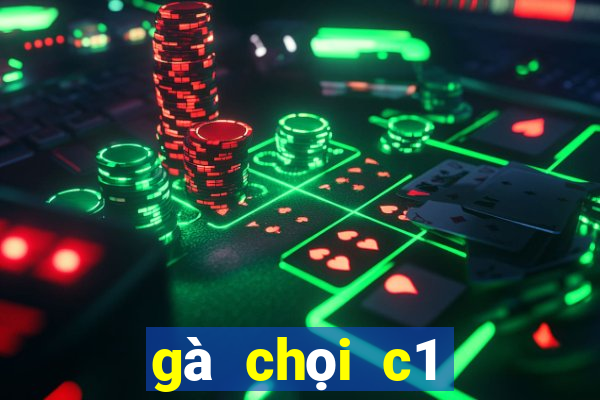 gà chọi c1 mới nhất