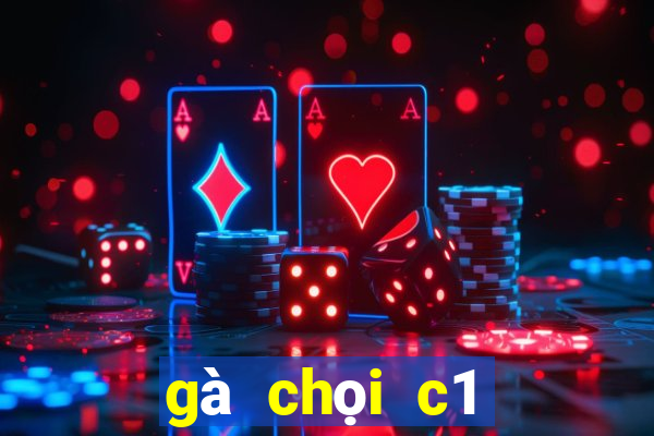 gà chọi c1 mới nhất