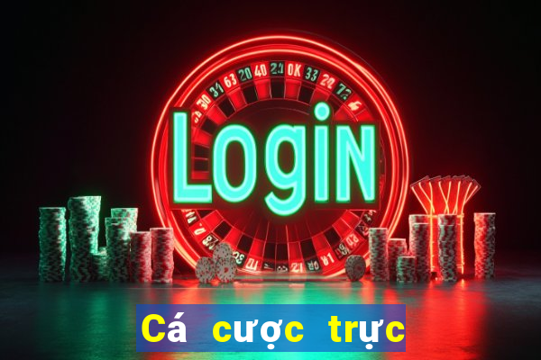 Cá cược trực tuyến vn88