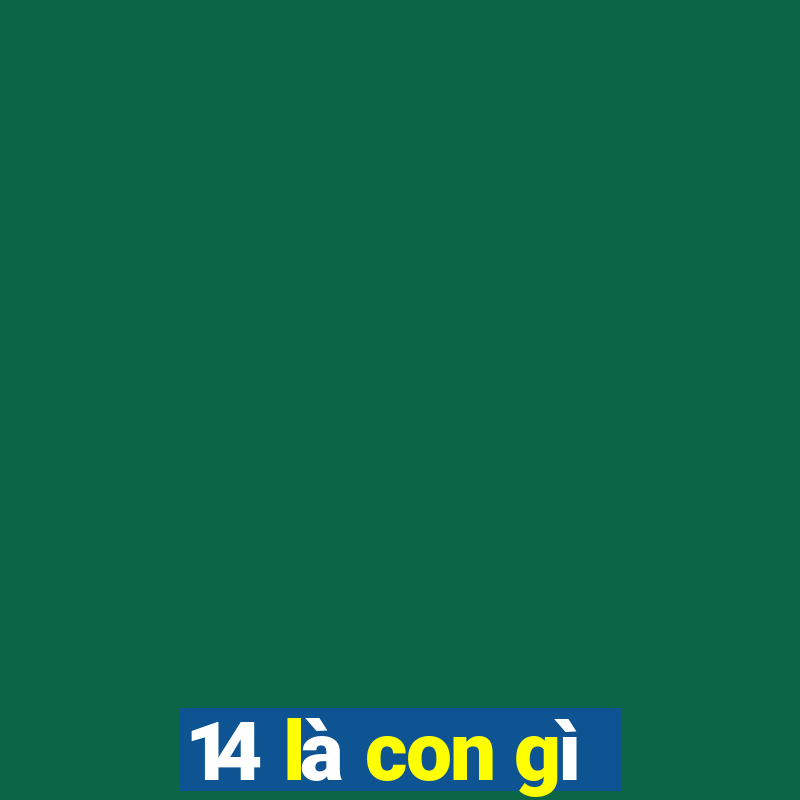 14 là con gì