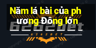 Năm lá bài của phương Đông lớn