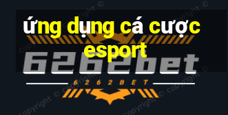 ứng dụng cá cược esport